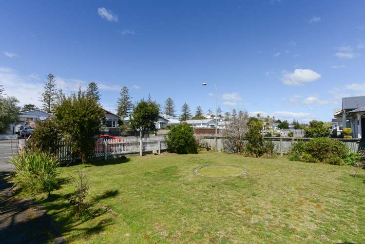 25 Mcgrath Street Napier South_14