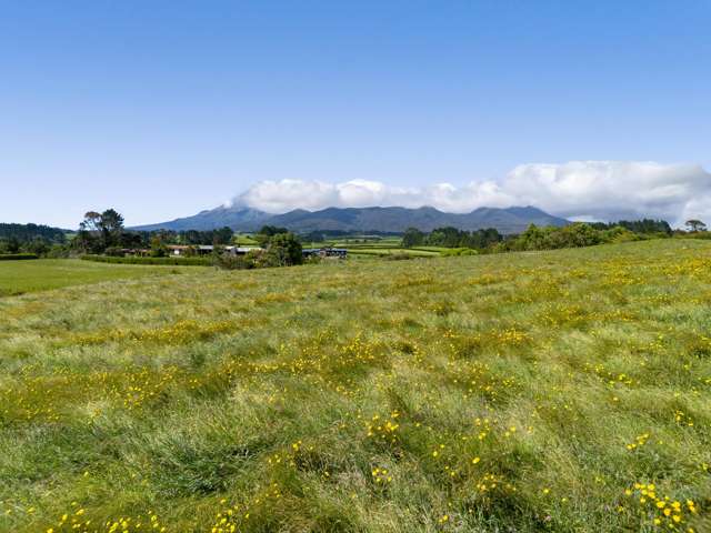 Lot 1 Mangorei Road Mangorei_2