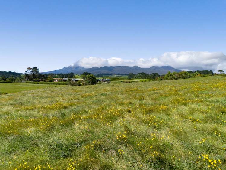 Lot 1 Mangorei Road_2