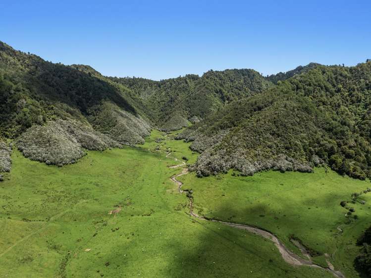 2060 Motu Road Opotiki_18