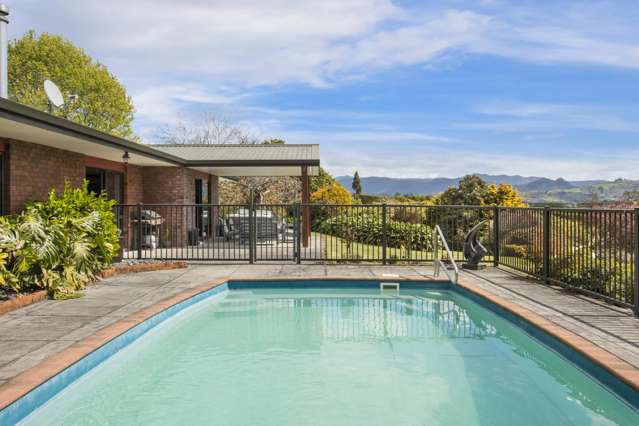 217 Ongare Point Road Katikati_3