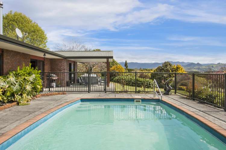 217 Ongare Point Road Katikati_3