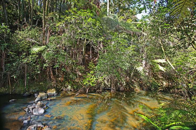 32 Cascade Road Bombay_19