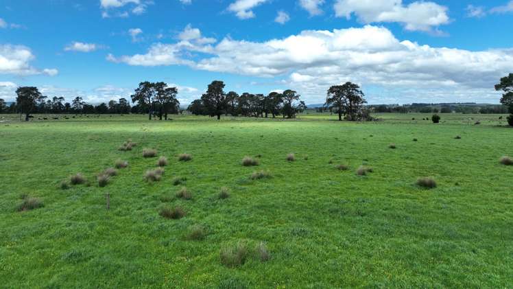 Duddings Line Tauherenikau_4