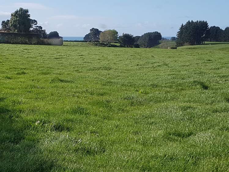 6 Perth Road Okato_17