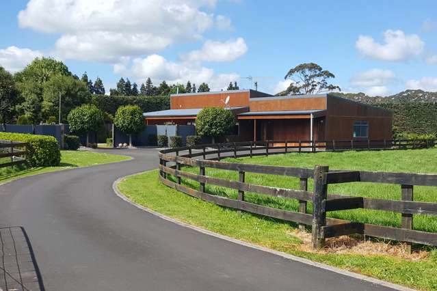 63 Taplin Road Matangi_1