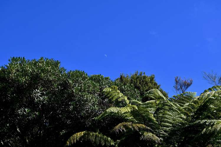 Lot 1 South Terrace Road Karamea_13