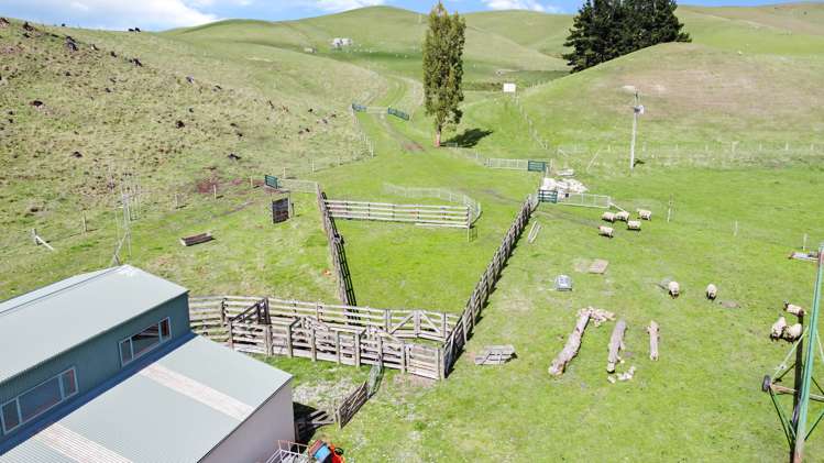 35 Andrew Street Allenton_3