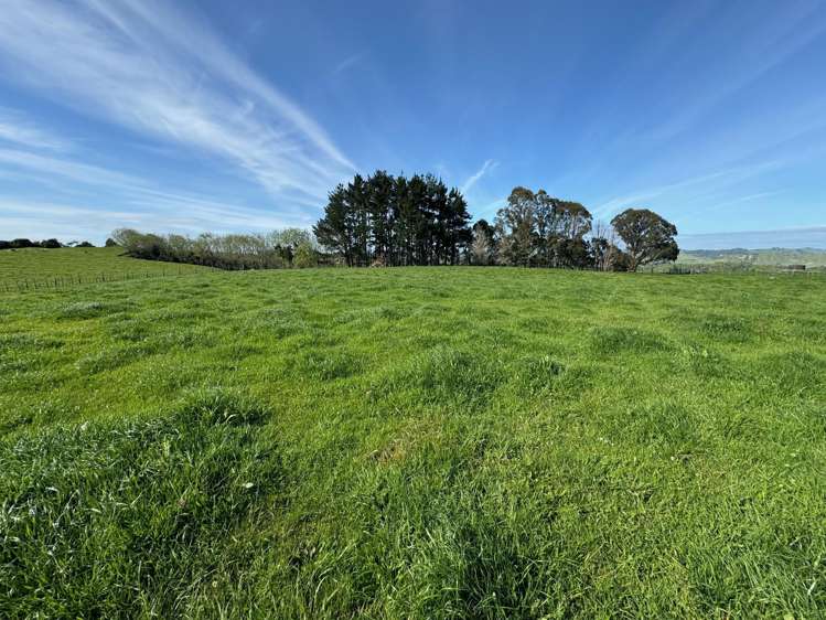 127 Tate Road Te Kuiti_30