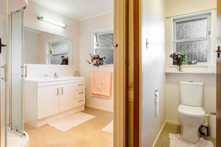 46 Maclaurin Street Blockhouse Bay_19