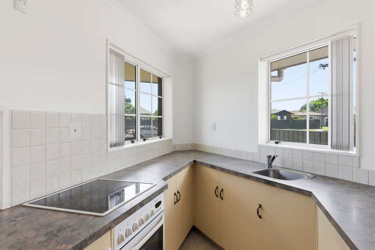 22 Roosevelt Street Levin_24