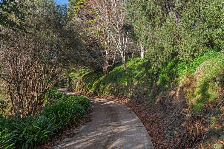 75 Kutarere Wharf Road Opotiki and Surrounds_29