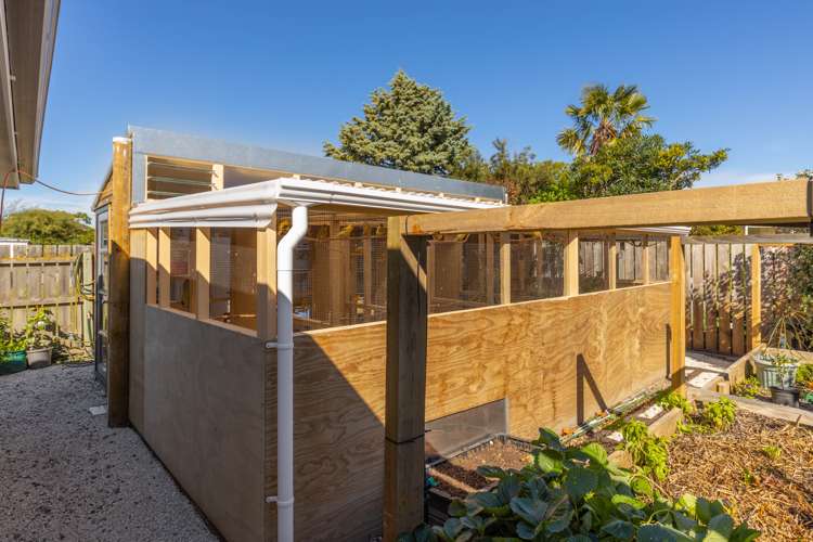 41 Adams Lane Springlands_26