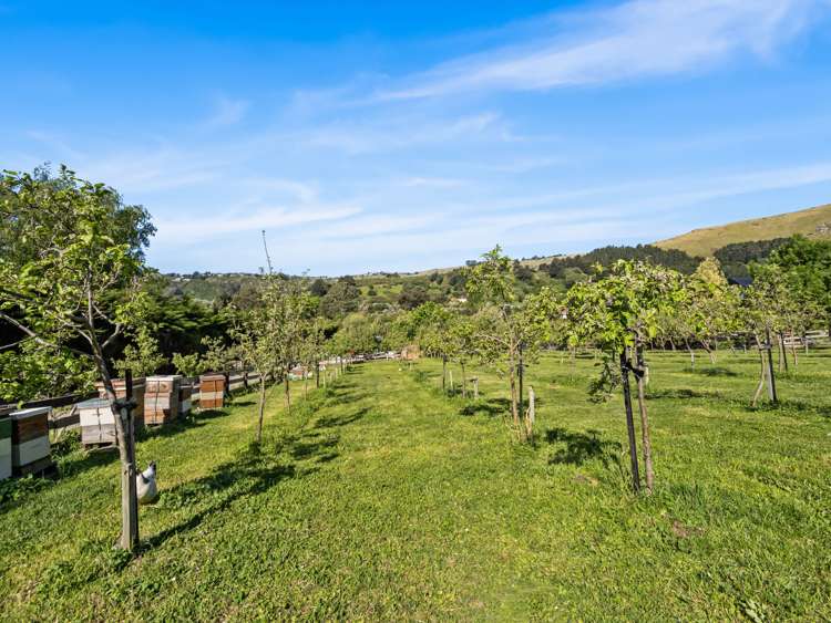 26 Horotane Valley Road Heathcote Valley_39