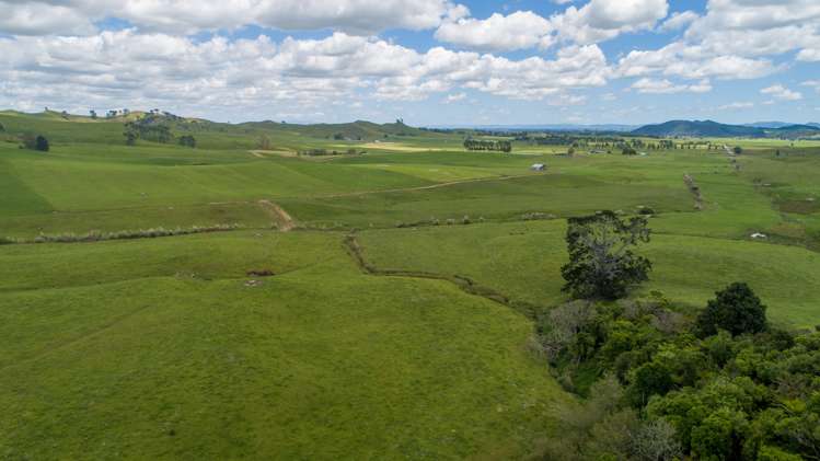 360 Manuel Road Tauhei_16