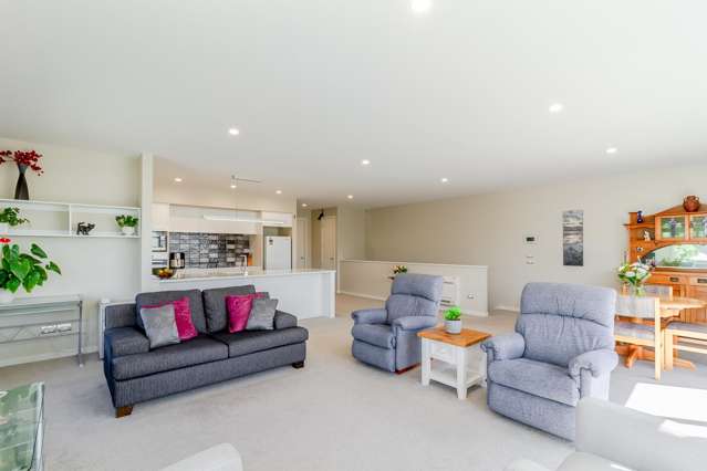 216D Te Awa Avenue Awatoto_4