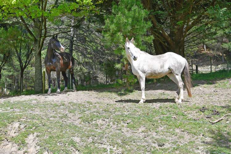 100 Garden Valley Road Brightwater_22