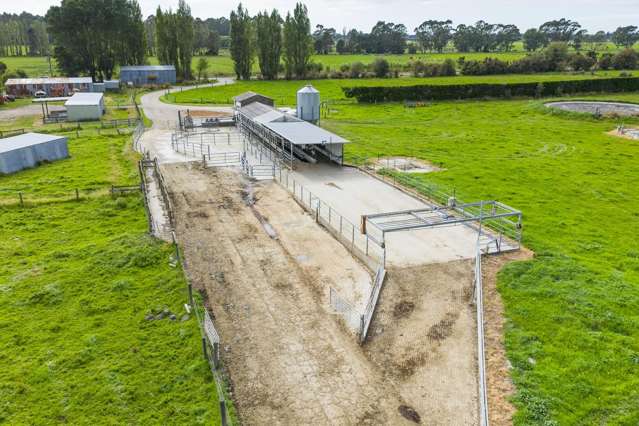 249 Plaskett Road Fernside_1