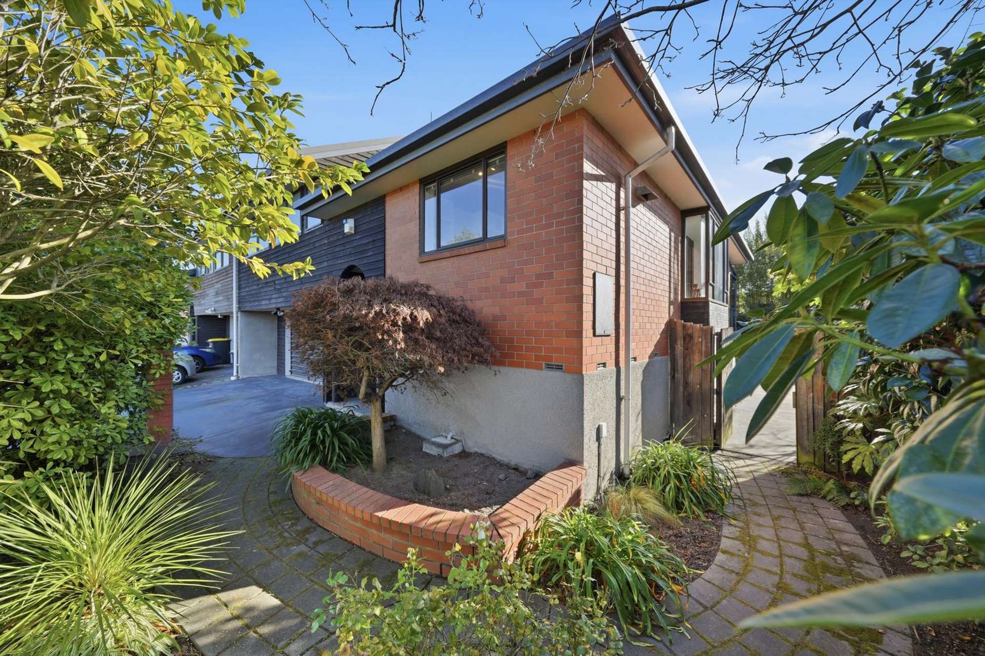 15 Lowry Avenue Redwood_0