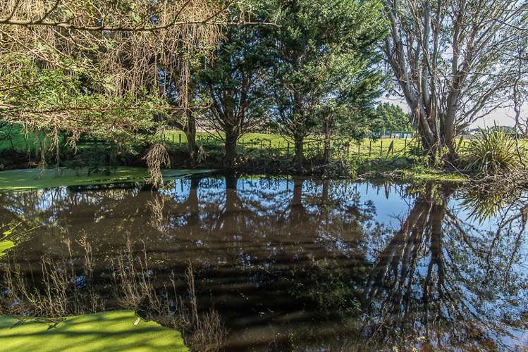 81 Ratanui Road Paraparaumu_28