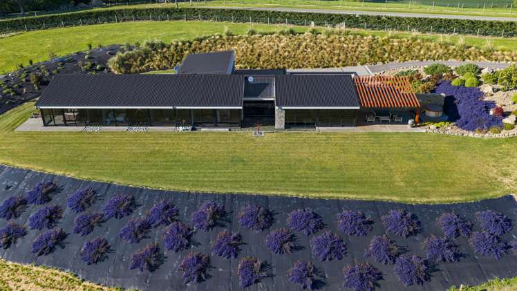 418 Spur Road Rosewill_27