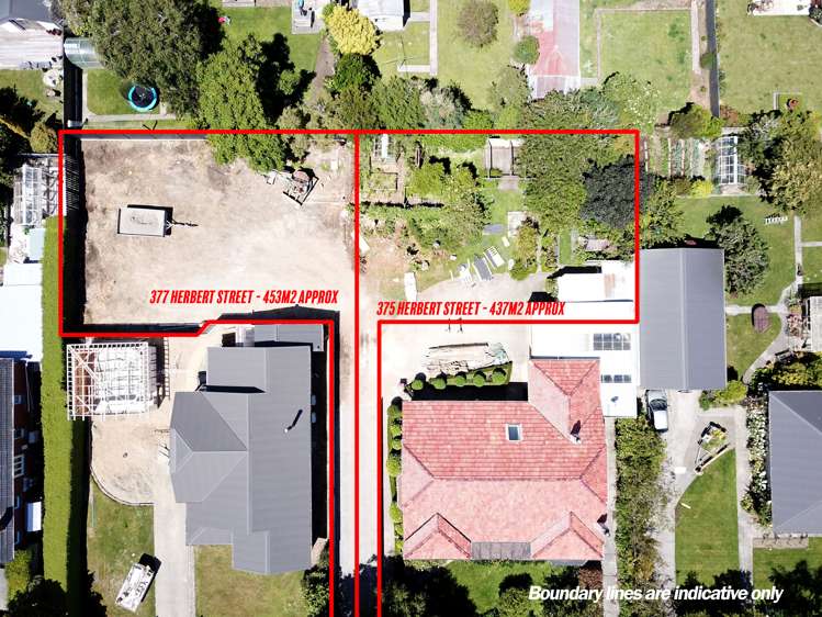 377 Herbert Street Windsor_4