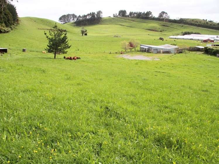 382 Awai Road Tarurutangi_21