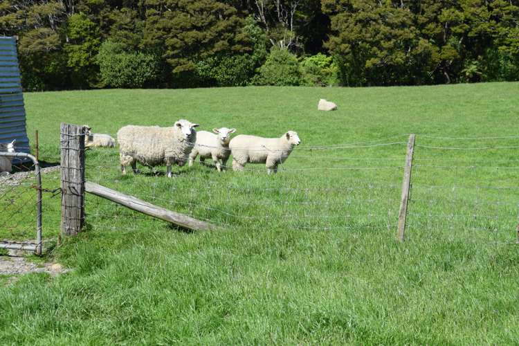 72 Clifden Highway Tuatapere_9