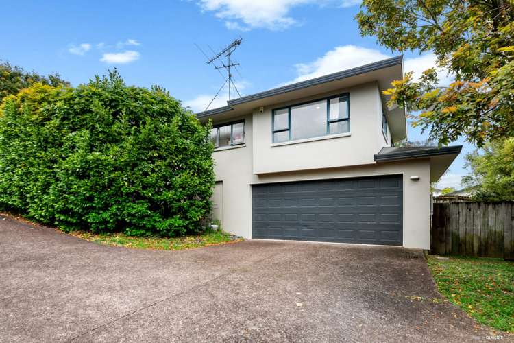 120b Triangle Road Massey_4