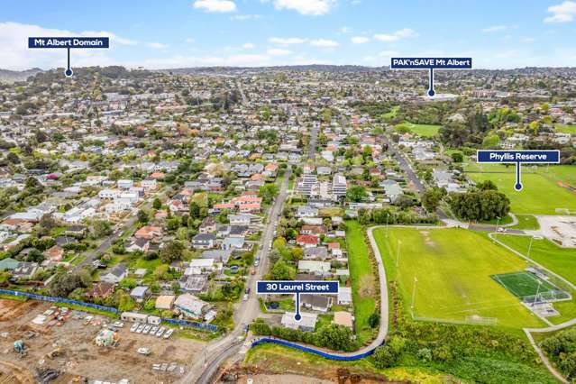 30 Laurel Street Mt Albert_4