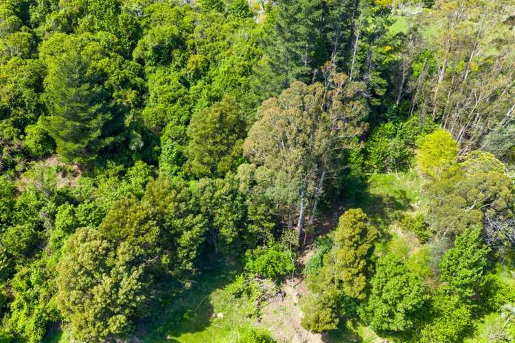 525 State Highway 1 Koromiko_17