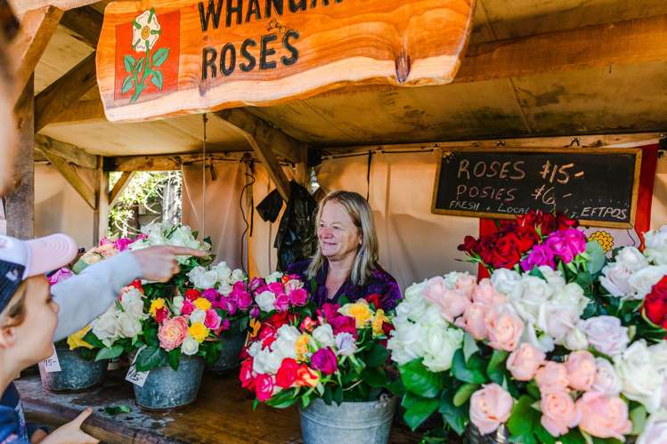 Sections - Clayden Road Warkworth_33