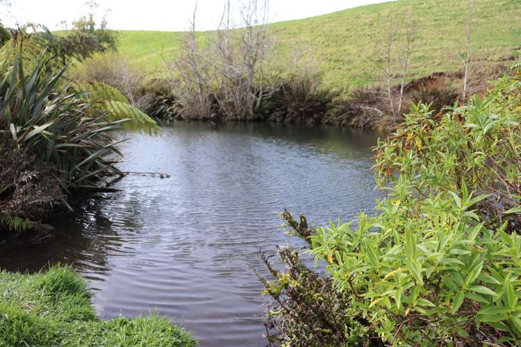 190 Lincoln Road Inglewood_8