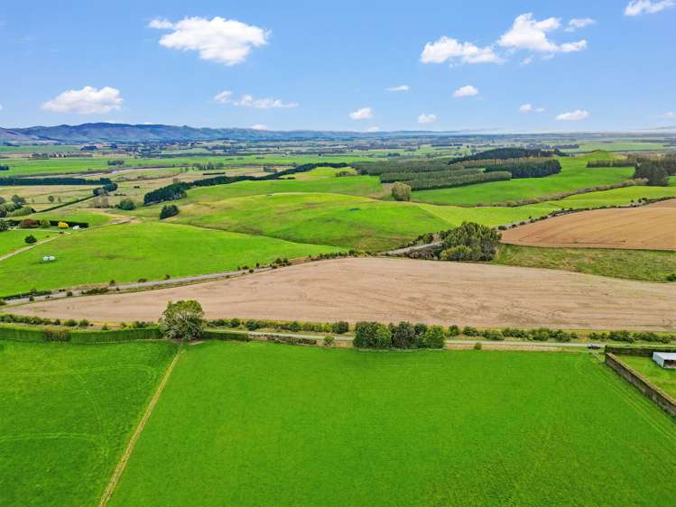 Kemp Road Otama Riversdale_6