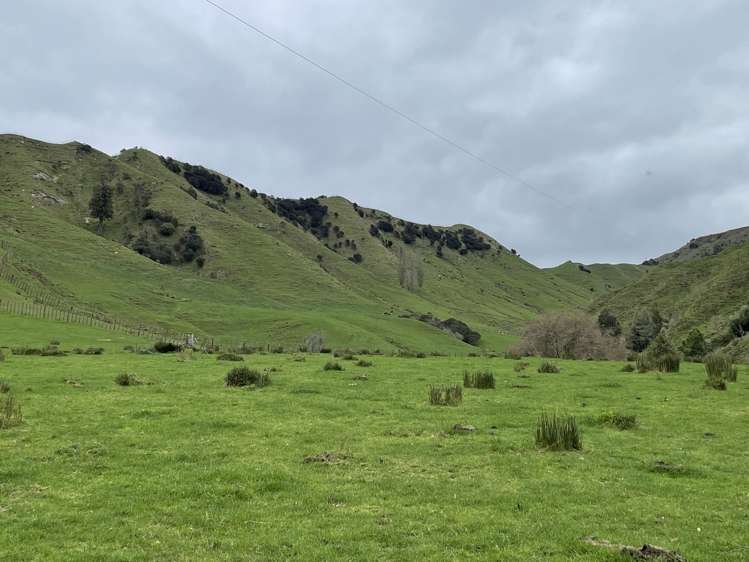 166 Saddler Road Ruapehu_0