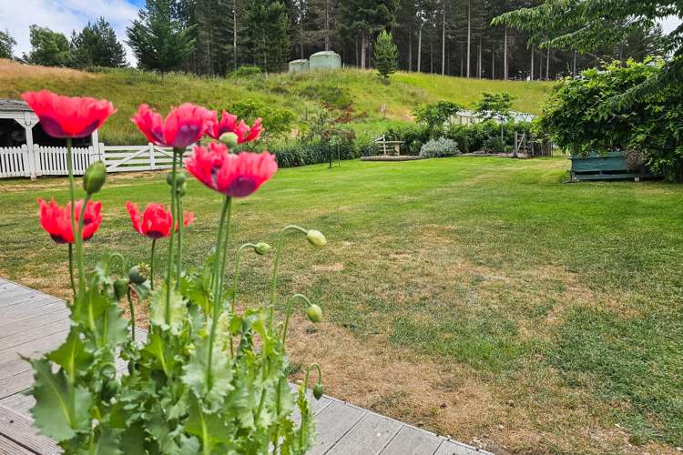 569 Hakataramea Valley Road Hakataramea_25