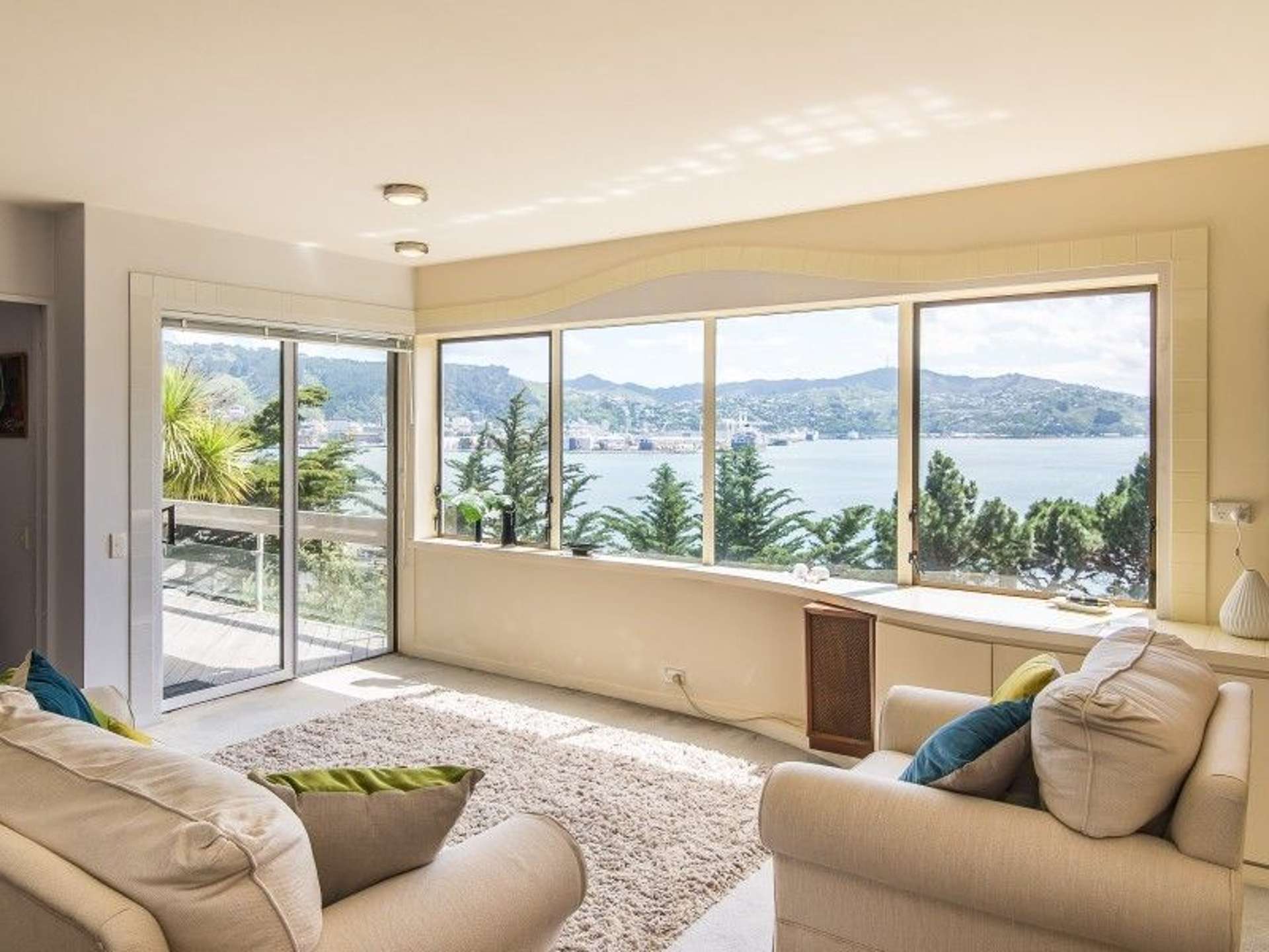 1/9 Wilkinson Street Oriental Bay_0