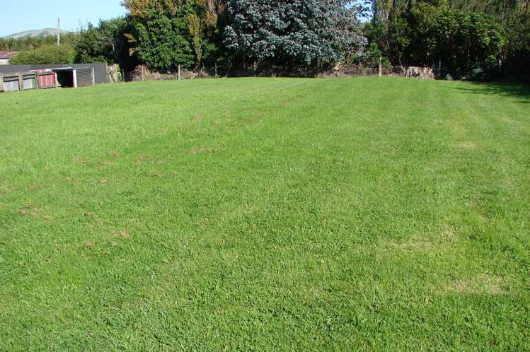 586 Niagara-Waikawa Road Waikawa_14