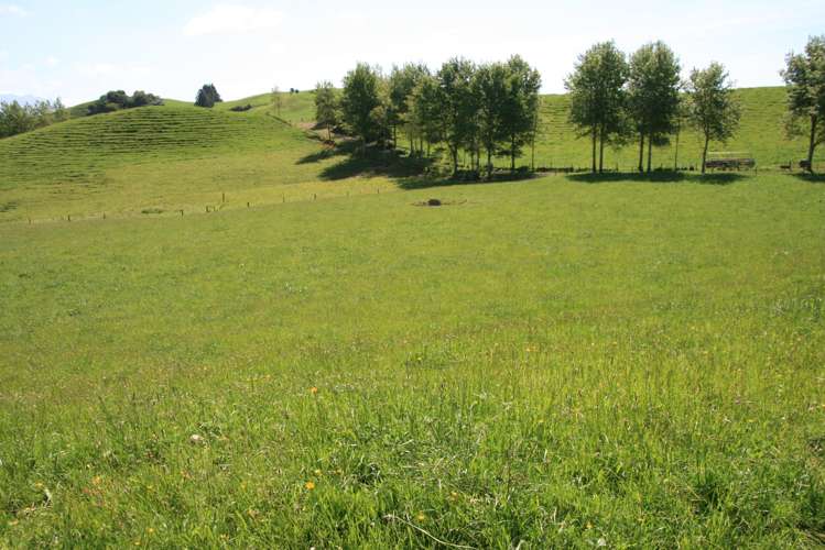 346 Lincoln Road Inglewood_5