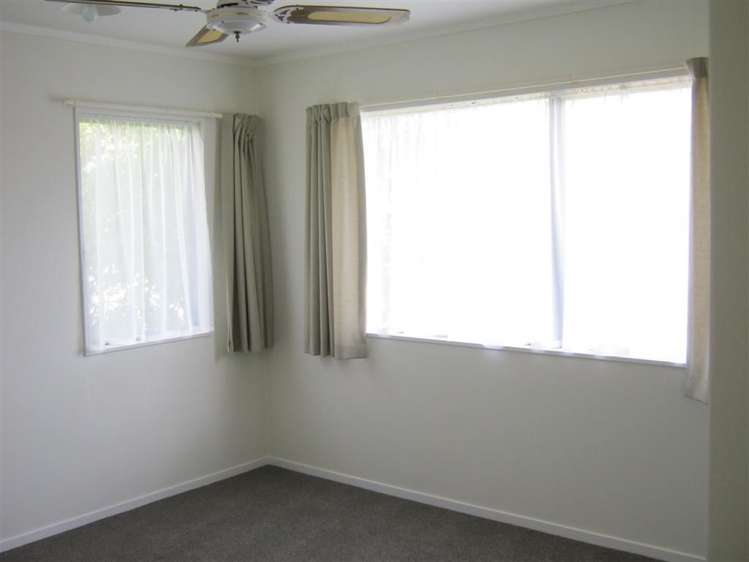 87 Domain Road Tauranga_13