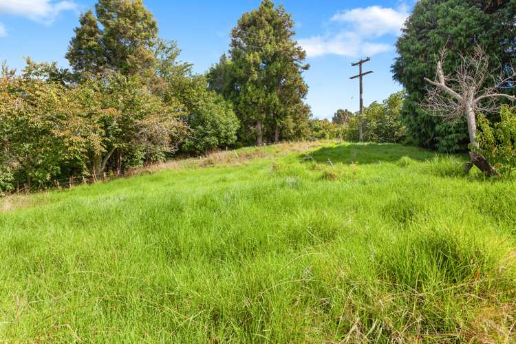 91c Looney Road Opotiki and Surrounds_7
