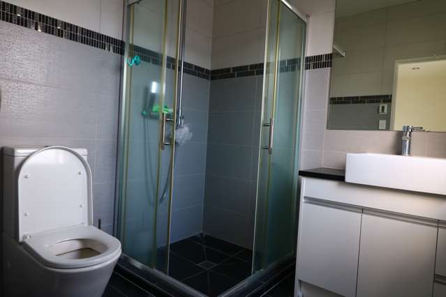 47 Castlederg Drive Flat Bush_2