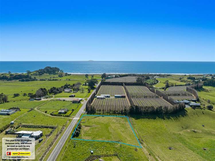 61 Tirohanga Road Opotiki_0