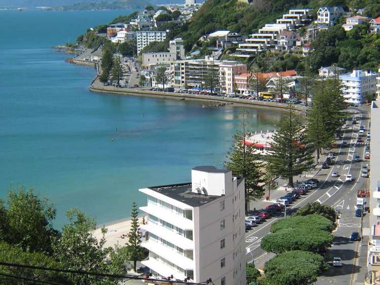 3/2 Oriental Terrace Mount Victoria_0