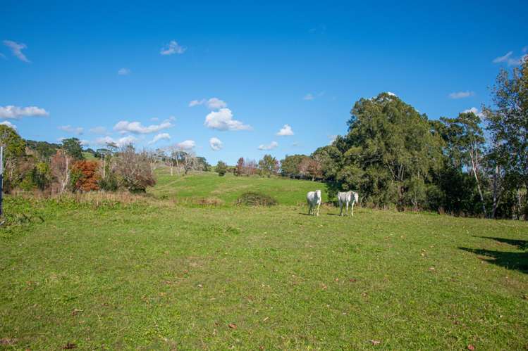 174 Stoney Creek Road Kaukapakapa_23