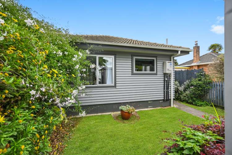 17b Brown Street Hamilton East_17