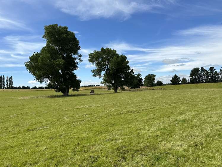 342 Catherwoods Road Cust_11