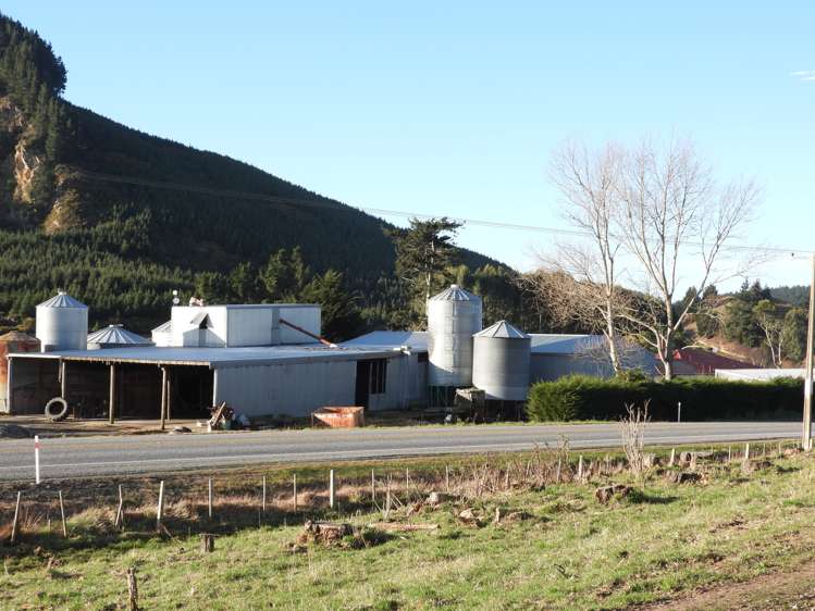 5010 Hampden-Palmerston Road Palmerston_1