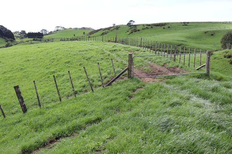 Lt2/310 Henwood Road Bell Block_9