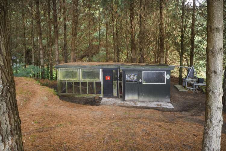 58 County Heights Drive Aokautere_22